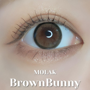 MOLAK 1day Brown Bunny モラクワンデー ブラウンバニー
